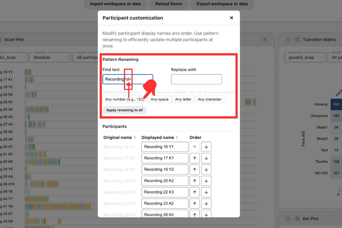 Participant customization interface showing pattern renaming section